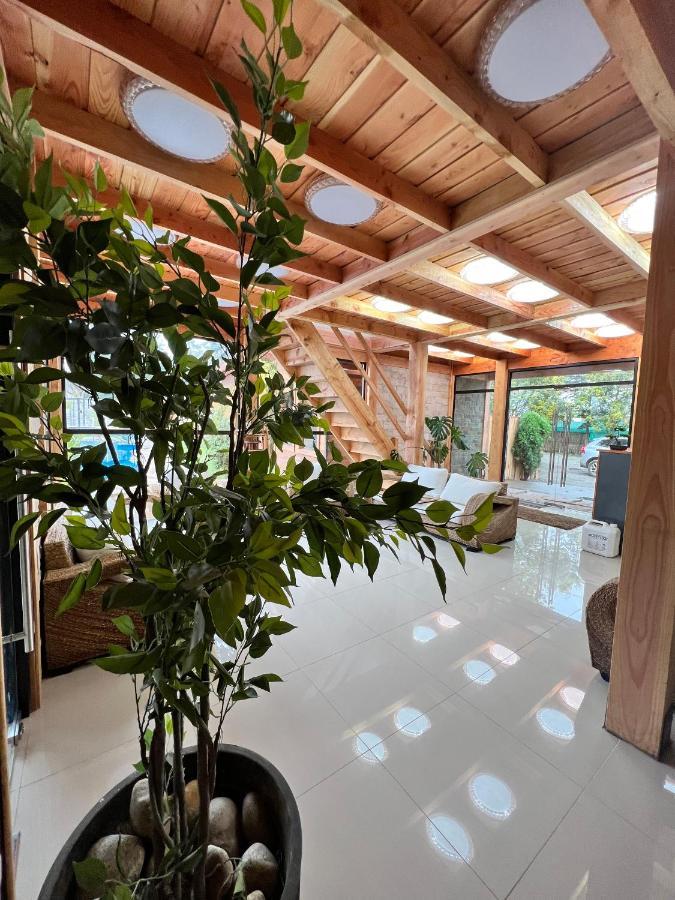 Hotel Boutique Family Suites Panguipulli Exterior photo
